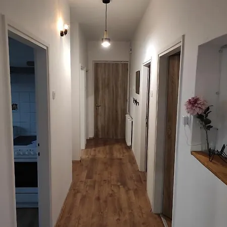 Apartment The Loft